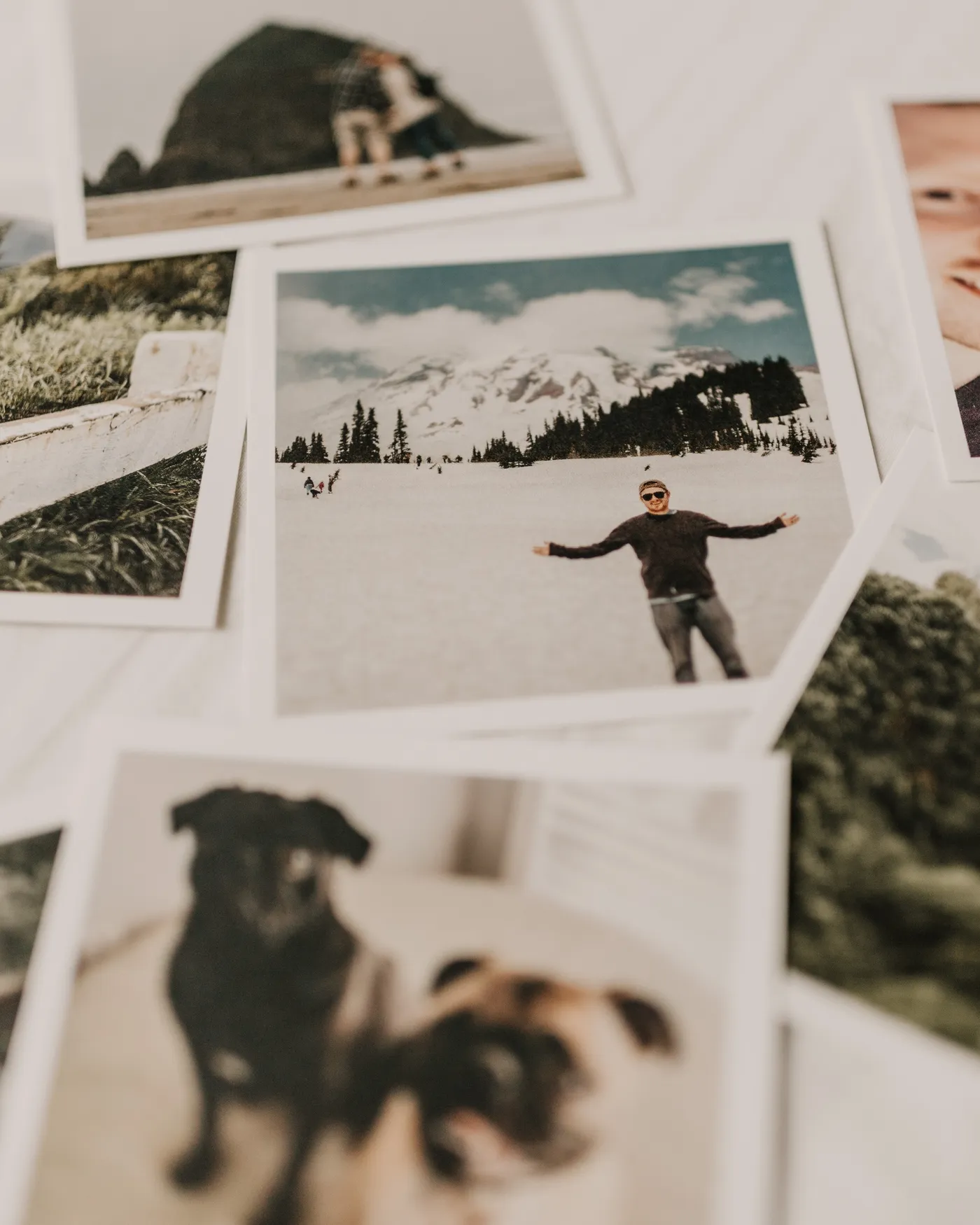 A spread of old family snapshots: vacations, mountains, and family dogs